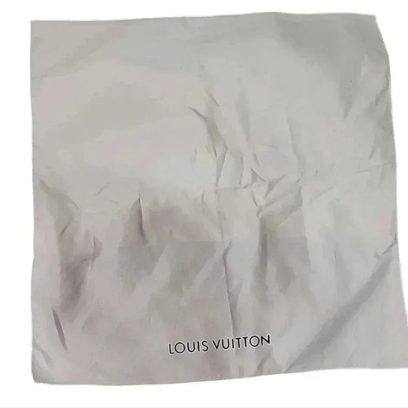 Louis Vuitton Dust bag - Picture 1 of 2